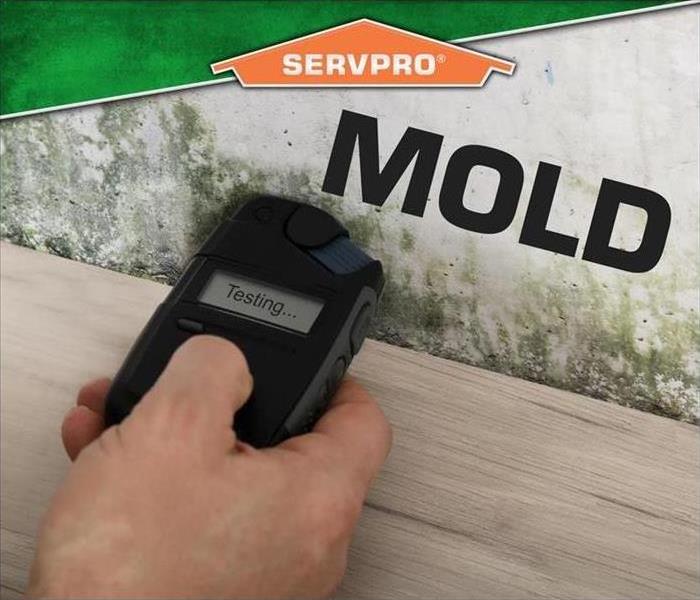 mold testing instrument being held against water damaged wall. SERVPRO logo and word "MOLD" superimposed on image